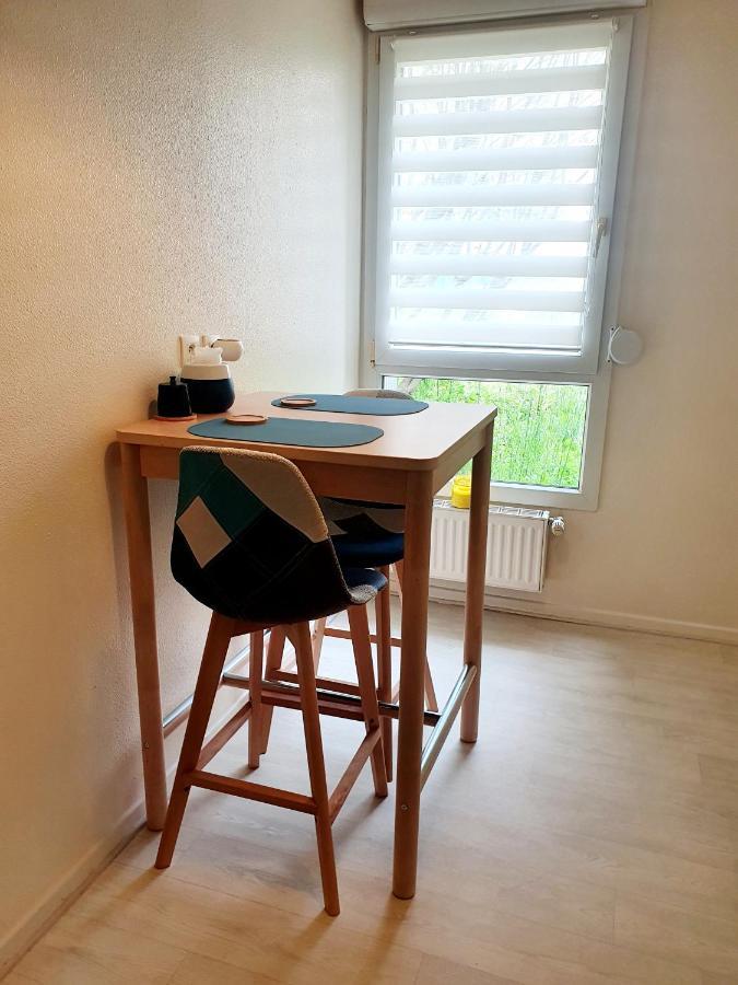 Bel Appartement Cosy 斯特拉斯堡 外观 照片