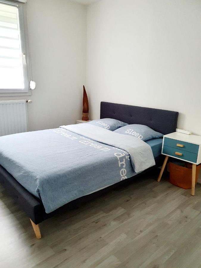 Bel Appartement Cosy 斯特拉斯堡 外观 照片